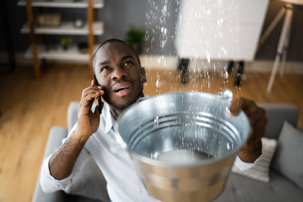 Best Ceiling water damage repair  in Onancock, VA