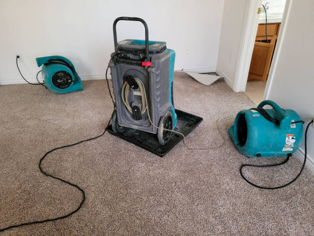 Best Commercial water damage restoration  in Onancock, VA