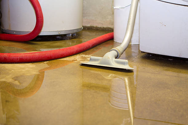 Trusted Onancock, VA Water damage restoration Experts